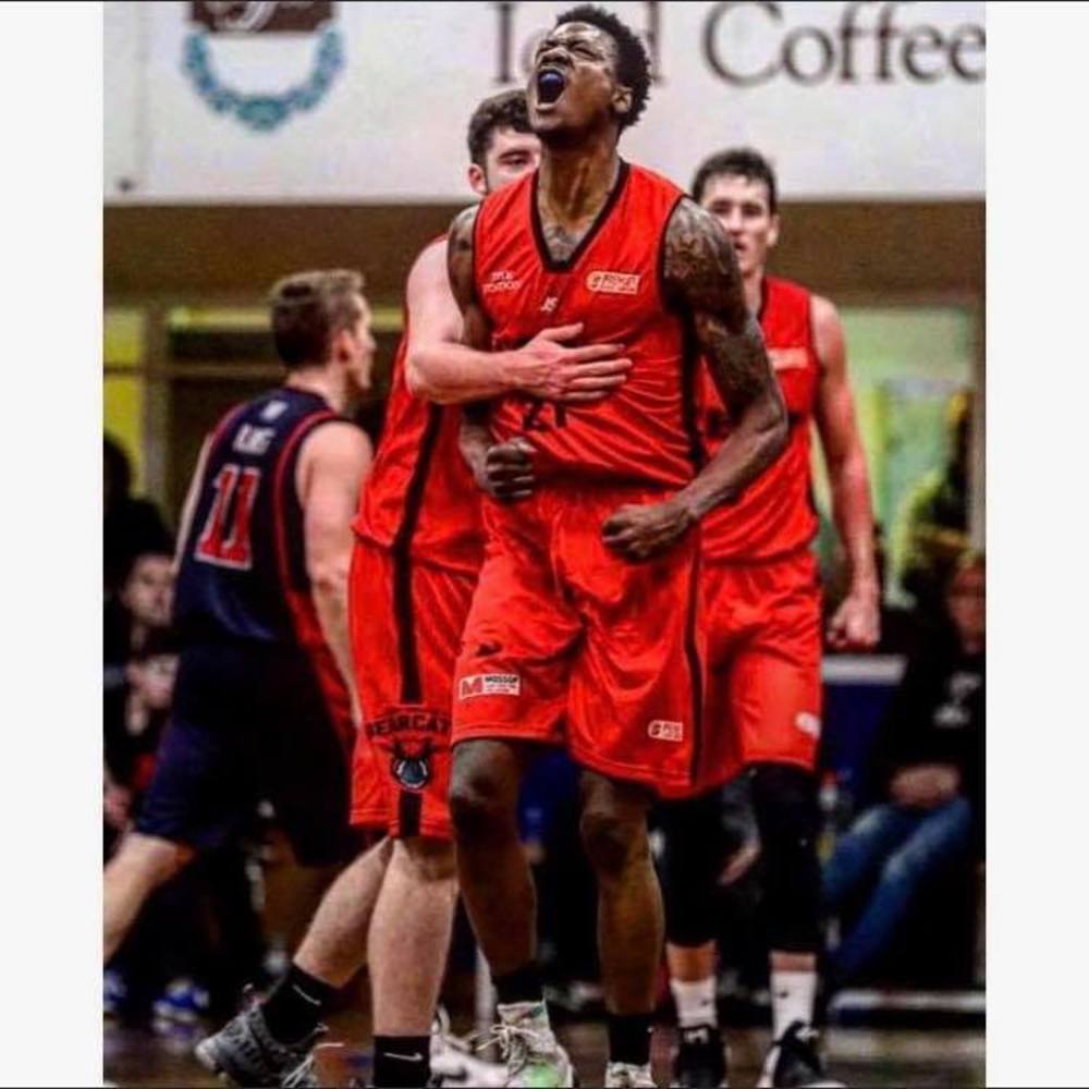 Meet your Posher, Harold